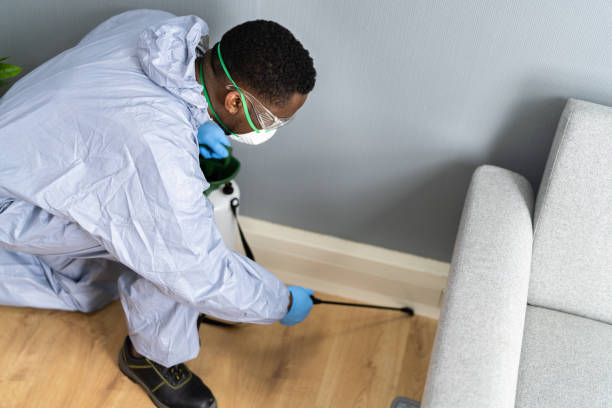 Best Pest Prevention Services  in North Plainfield, NJ